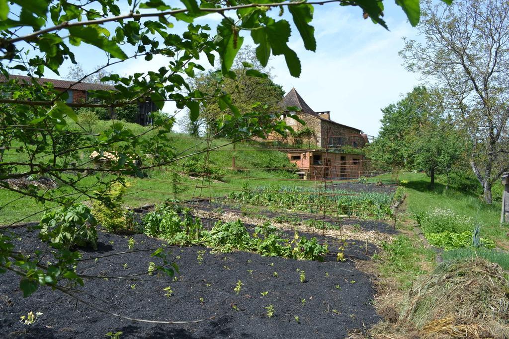 La Ferme De Cagnolle Hotel Saint-Amand-de-Belvès Zewnętrze zdjęcie